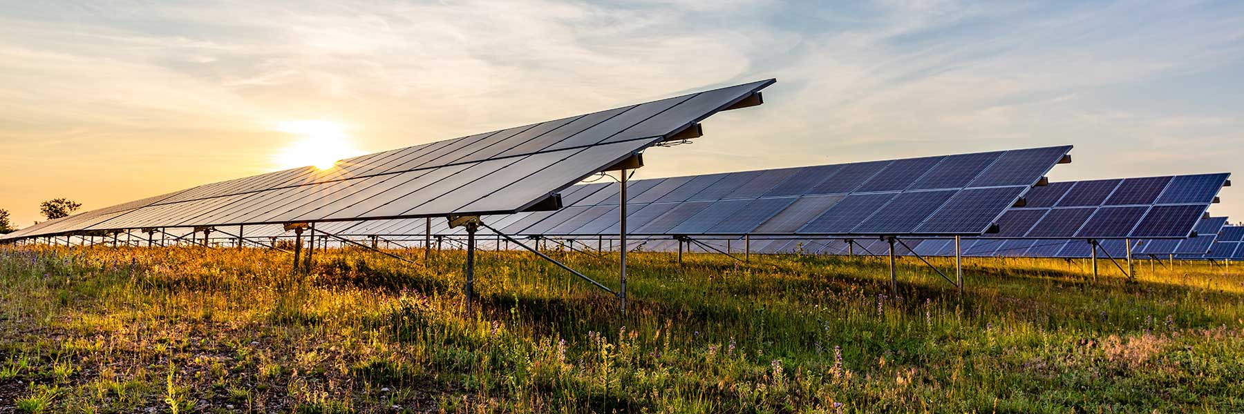 Solar panel farm