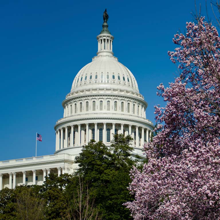 The United States capital building 